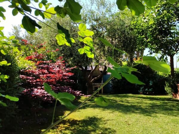GIARDINI VERDE (4)