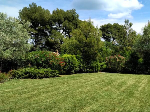 GIARDINI VERDE (6)