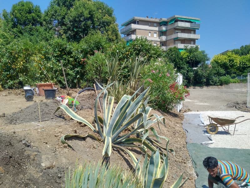 GIARDINO VERDE PAPALINI (3)
