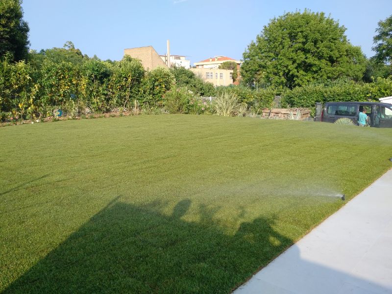 GIARDINO VERDE PAPALINI (4)