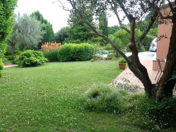 Verde (1)