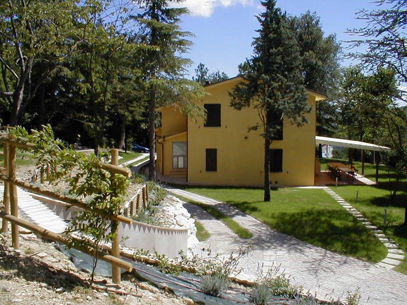 Verde (100)