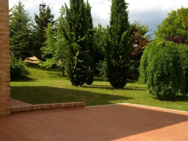 Verde (2)