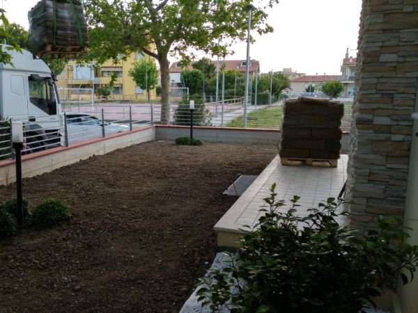Verde (3)